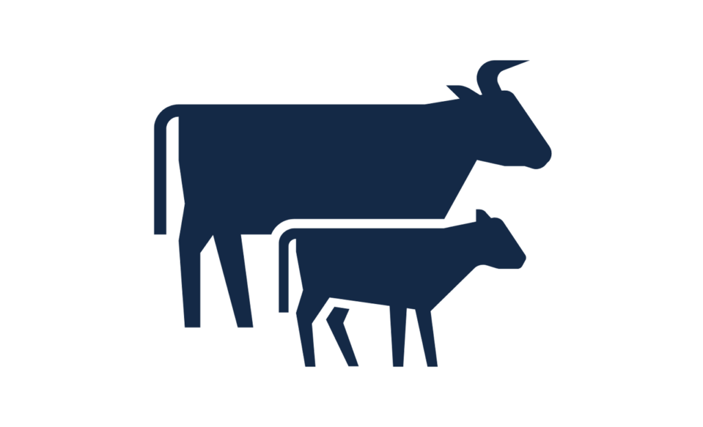 reproduccion-bovina-y-genetica